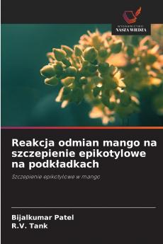 Reakcja odmian mango na szczepienie epikotylowe na podkładkach