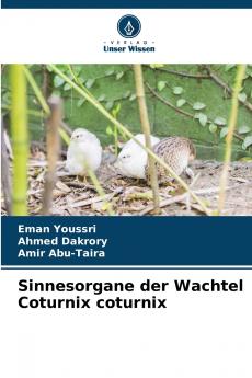 Sinnesorgane der Wachtel Coturnix coturnix
