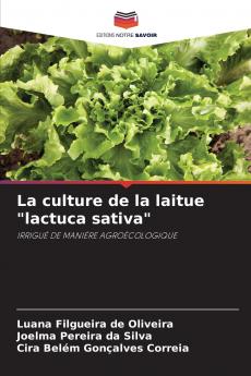 La culture de la laitue lactuca sativa