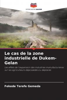 Le cas de la zone industrielle de Dukem-Gelan