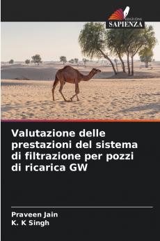 Valutazione delle prestazioni del sistema di filtrazione per pozzi di ricarica GW