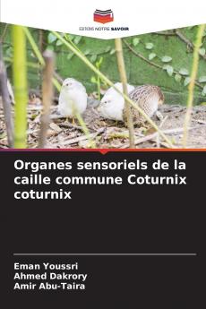 Organes sensoriels de la caille commune Coturnix coturnix
