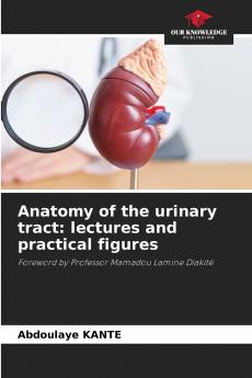 Anatomy of the urinary tract