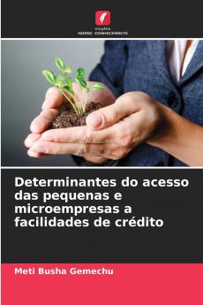 Determinantes do acesso das pequenas e microempresas a facilidades de crédito