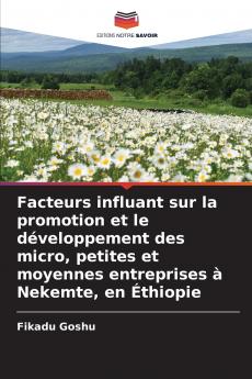 Facteurs influant sur la promotion et le développement des micro petites et moyennes entreprises à Nekemte en Éthiopie
