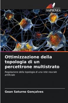 Ottimizzazione della topologia di un percettrone multistrato