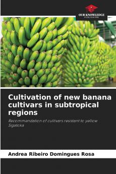 Cultivation of new banana cultivars in subtropical regions