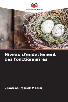 Niveau d'endettement des fonctionnaires