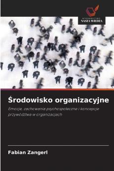 Środowisko organizacyjne