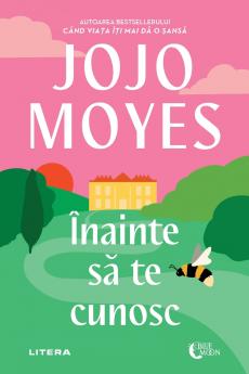 Înainte să te cunosc
