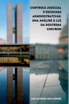 Controle Judicial E Escolhas Administrativas