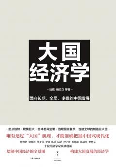 Mega-Nation Economics