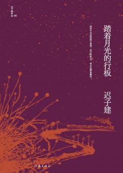 踏着月光的行板 Walking On A Board Under The Moonlight