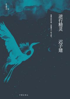 逆行精灵 Retrograde Elves