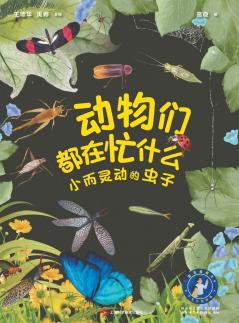 What Are Animals Up To