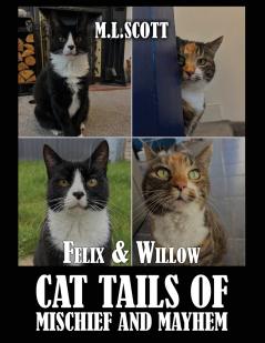 Felix & Willow cat tails of mischief and mayhem
