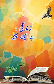 Zindagi - hai ek paheli