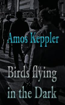 Birds Flying in the Dark