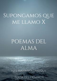 Supongamos que me llamo X