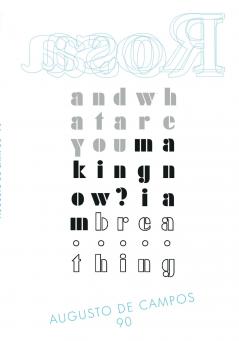 Rosa - Augusto de Campos 90