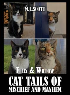 Felix & Willow cat tails of mischief and mayhem