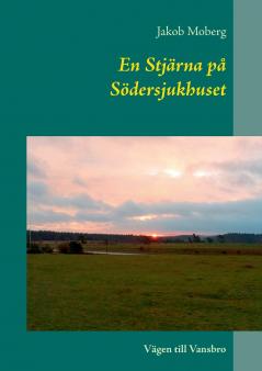 En Stjärna på Södersjukhuset