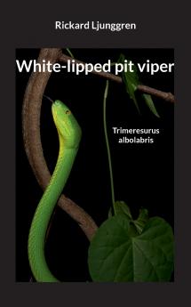White-lipped pit viper