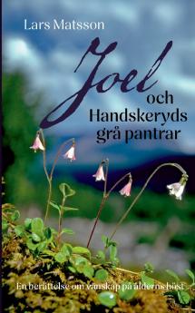 Joel och Handskeryds grå pantrar