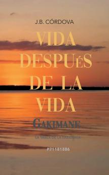 Vida Después de la Vida