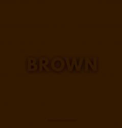 THE BROWN BOOK