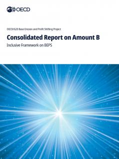Consolidated Report on Amount B
