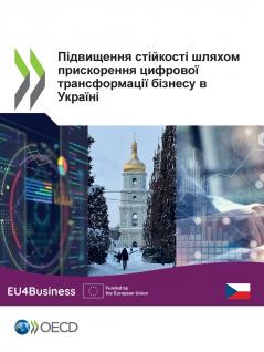 Підвищення стійкості шляхом прискорення цифрової трансформації бізнесу в Україні