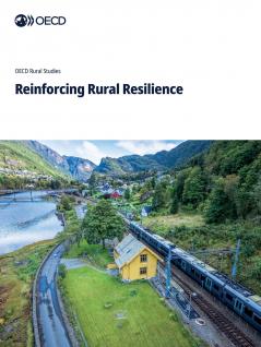 Reinforcing Rural Resilience