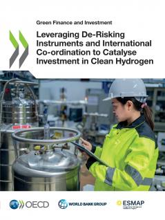 Leveraging De-Risking Instruments and International Co-ordination to Catalyse Investment in Clean Hydrogen
