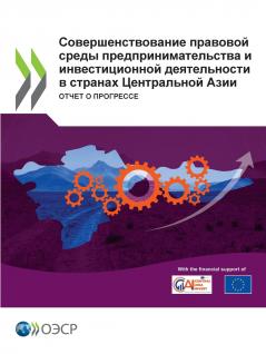 Совершенствование правовой среды предпринимательства и инвестиционной деятельности в странах Центральной Азии