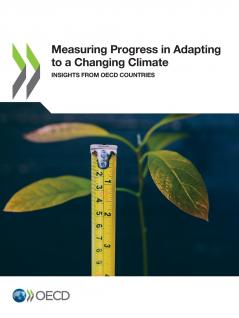 Measuring Progress in Adapting to a Changing Climate