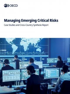 Managing Emerging Critical Risks