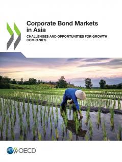 Corporate Bond Markets in Asia