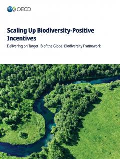 Scaling Up Biodiversity-Positive Incentives