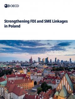 Strengthening FDI and SME Linkages in Poland