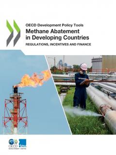 Methane Abatement in Developing Countries