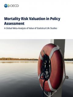 Mortality Risk Valuation in Policy Assessment