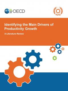 Identifying the Main Drivers of Productivity Growth