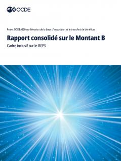 Rapport consolidé sur le Montant B
