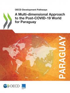 A Multi-dimensional Approach to the Post-COVID-19 World for Paraguay