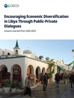 Encouraging Economic Diversification in Libya Through Public-Private Dialogues