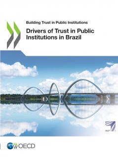 Drivers of Trust in Public Institutions in Brazil