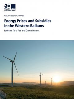 Energy Prices and Subsidies in the Western Balkans