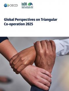 Global Perspectives on Triangular Co-operation 2025