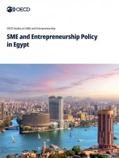SME and Entrepreneurship Policy in Egypt